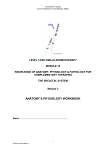 The Skeletal System Course Workbook