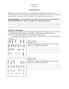 Genetics Review Challenge