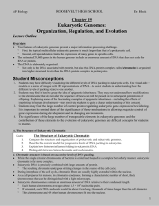 chapter 19 the organization and control of eukaryotic