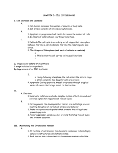 CHAPTER 5: CELL DIVISION-B2 - Newark Catholic High School