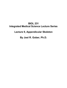 Lecture 009, Appendicular Skeleton