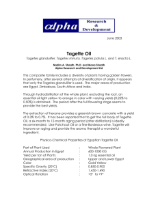 Tagette Oil - Alpha Research and Development