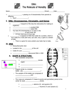 DNA Notes