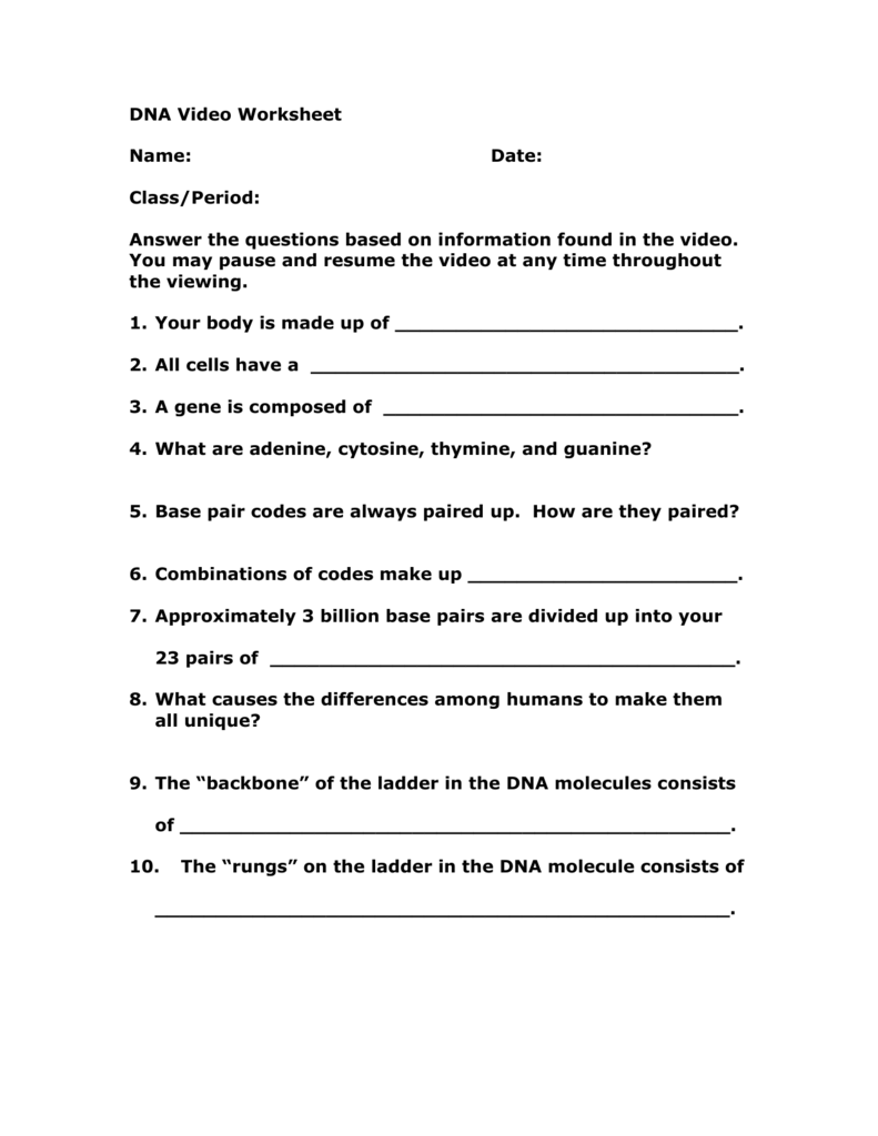 DNA Video Worksheet With Nucleic Acids Worksheet Answers