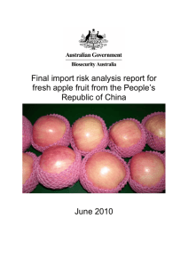 Final Import Risk Analysis report for fresh apple fruit from the