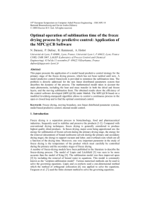 Optimal Operation of Sublimation Time of the Freeze Drying Process