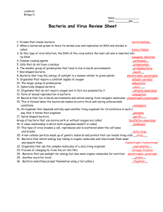 Bacteria and Virus Review Sheet