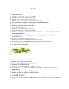 Photosynthesis review questions final_review