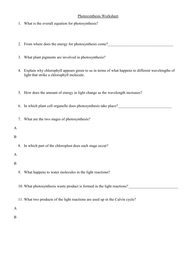 Photosynthesis Questions And Answers