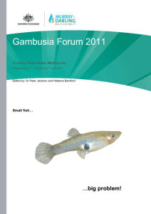 Gambusia Forum 2011 - Murray