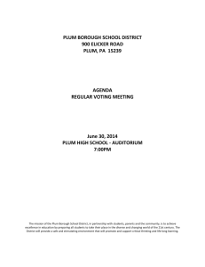 Agenda - Plum Borough School District