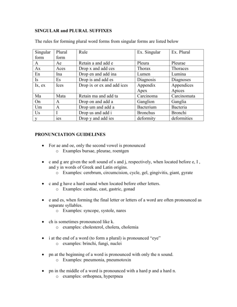 SINGULAR And PLURAL SUFFIXES 