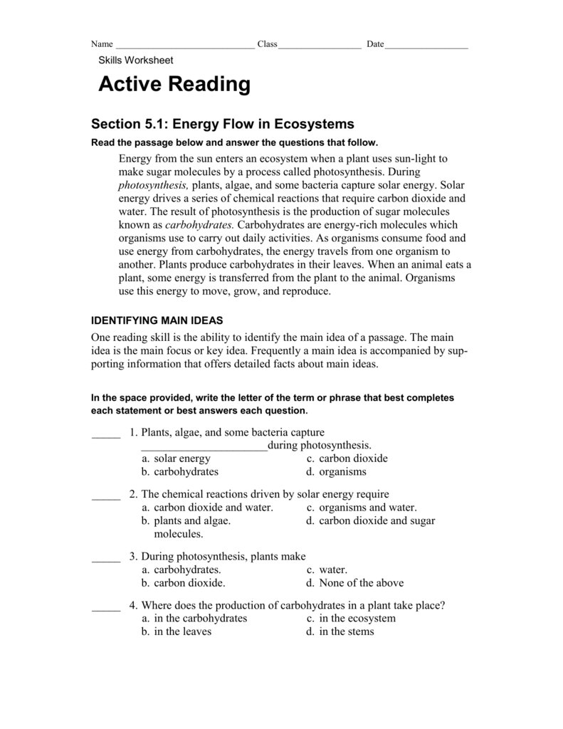 Skills Worksheet Active Reading