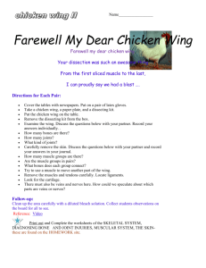 Name_________________ Farewell My Dear Chicken Wing
