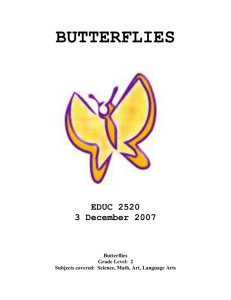 butterflies - COE Portfolio