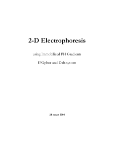 2D_electroforese_27-03