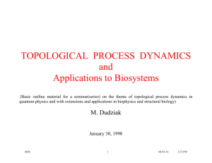 topological dynamics