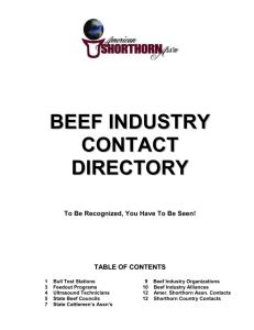 Beef Industry Contacts