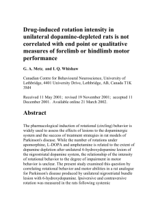 Drug-induced rotation intensity in unilateral dopamine