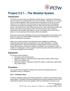 Project 5.2.1: Skeletal System