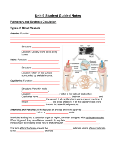 Unit 9 Student Guided Notes Pulmonary and Systemic Circulation