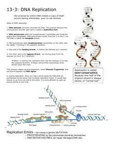 DNA Replication - The Biology Corner