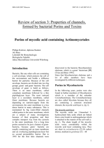 Mycolic acid containging Actinomycetales