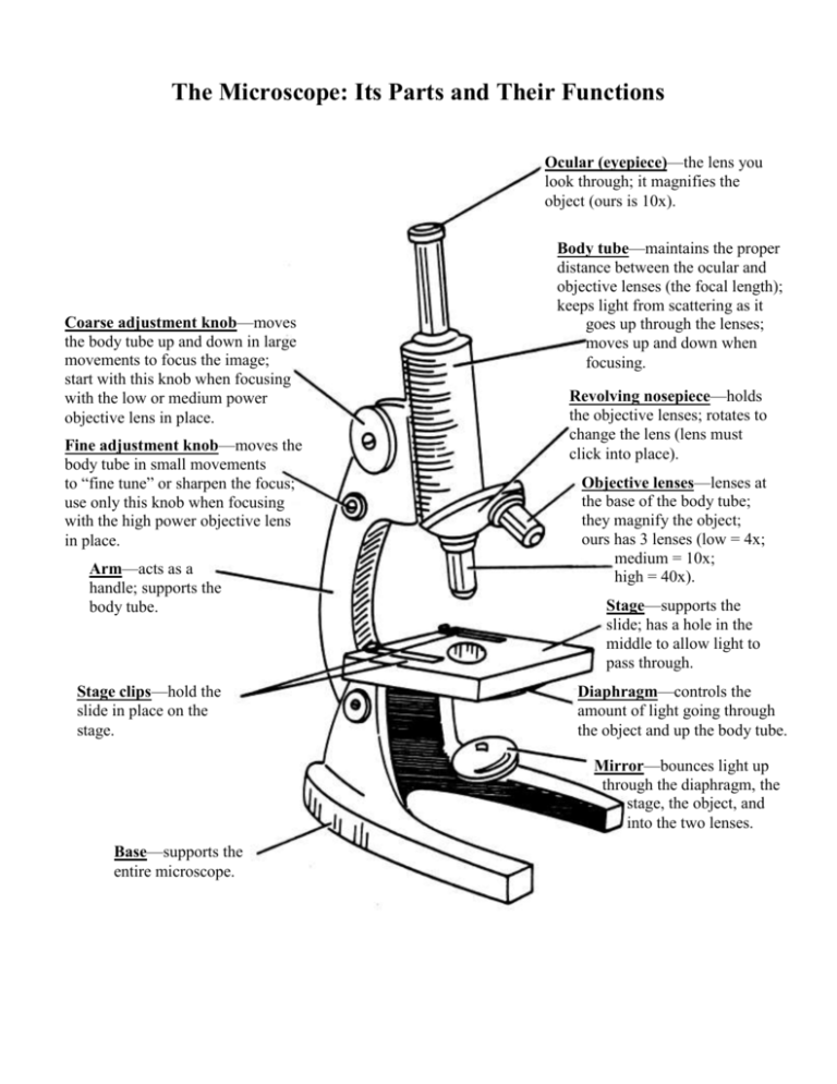 Microscope Parts And Functions Worksheet
