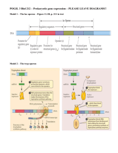 Chapter 18 PPT - Regulation Of Gene Expression