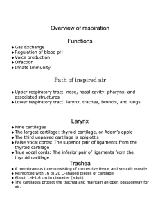 Overview of respiration