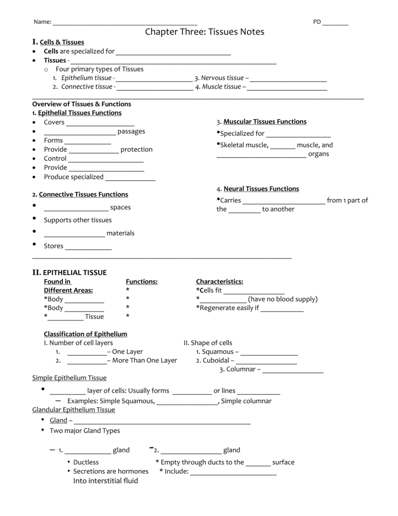 Types Of Tissues Worksheet