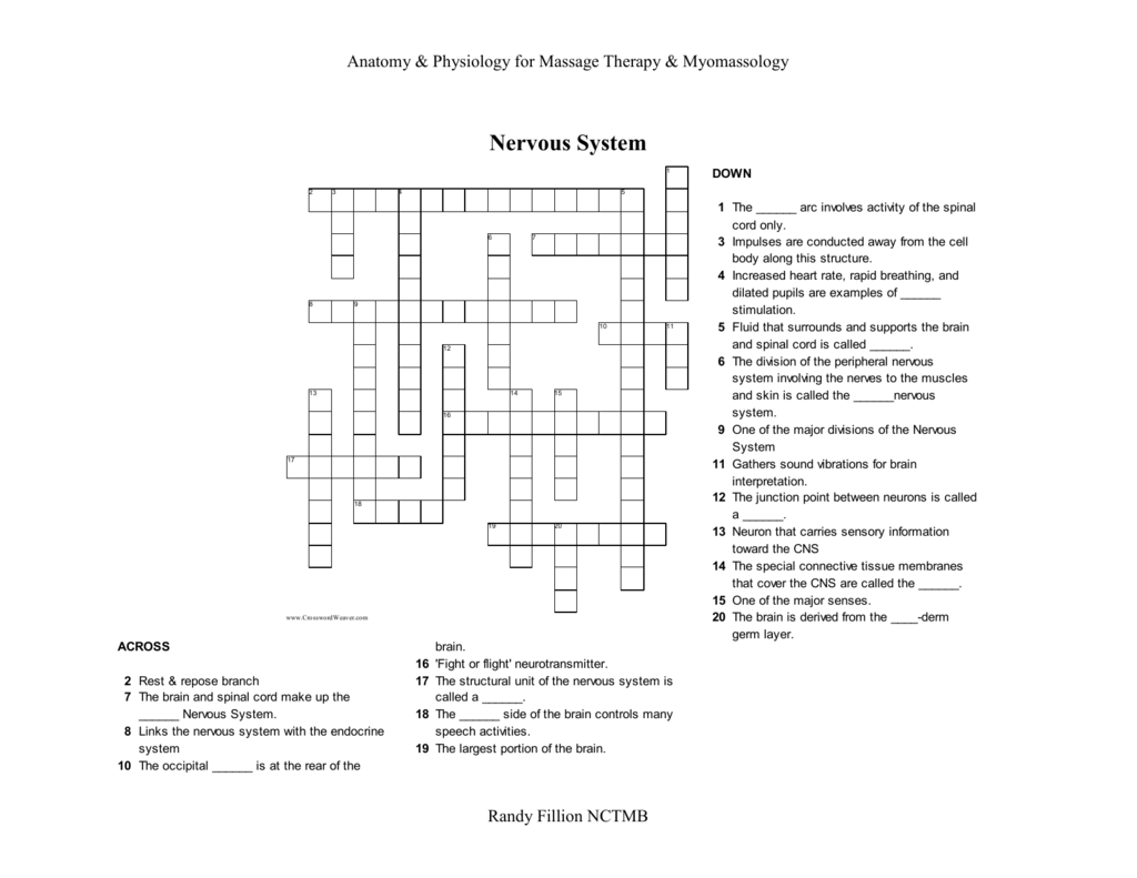 Nervous Crossword Puzzle