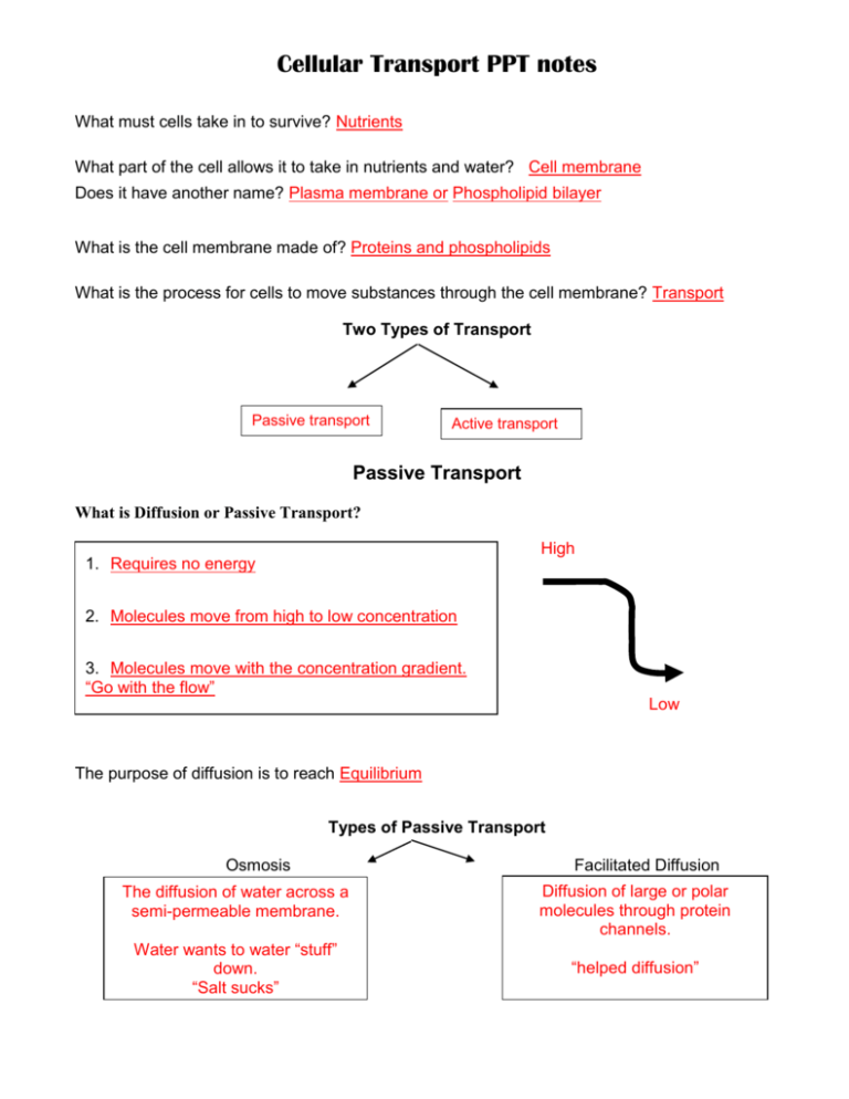 Name 3 Types Of Passive Transport