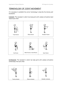 TERMINOLOGY OF JOINT MOVEMENT