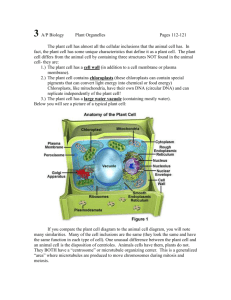 3 AP Bio Plant Cell 2015
