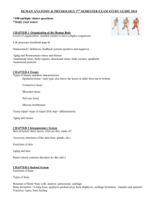 human anatomy & physiology 1st semester exam study guide