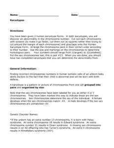 Second Human Karyotype - Wood-Ridge School District / Homepage