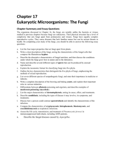 Chapter 17: Eukaryotic Microorganisms: The Fungi