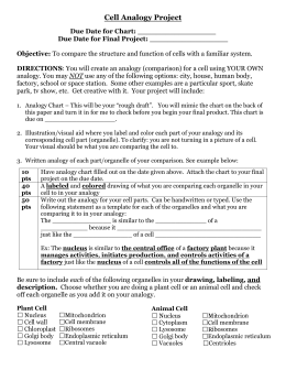 Comparing a Cell to a Factory: Answer Key