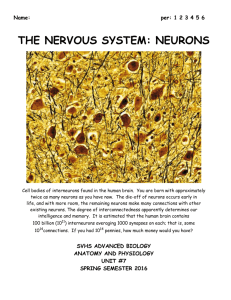 Nervous System UDS and lab packet rev 2016