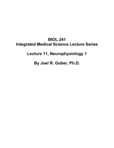 Lecture 012, Neurophysiology1