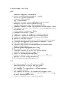 AP Biology Chapter 9 Study Guide