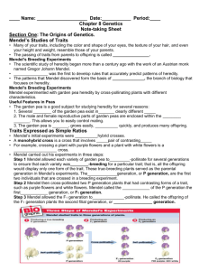 Chapter 8 Genetics - Mrs-Lamberts-Biology