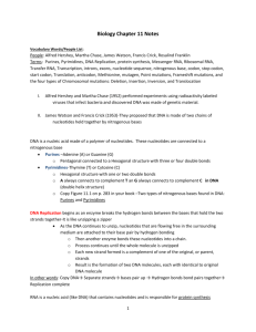 BiologyChapter11Notes&Voc