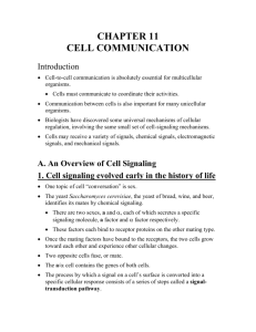 CHAPTER 11 CELL COMMUNICATION