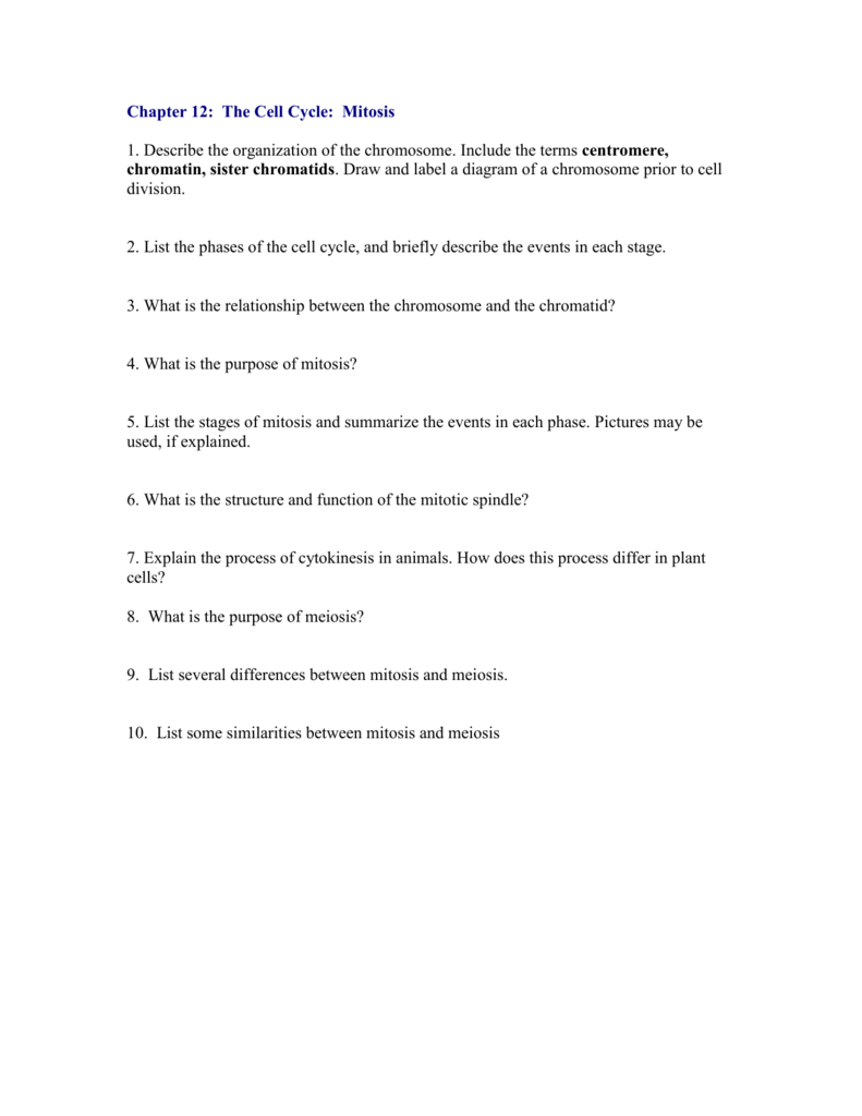 difference between mitosis and meiosis flip book