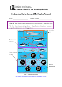 Worksheet on building a marine ecosystem (B2) (English version)