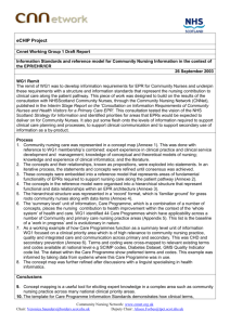 Cnnet Working Group 1 Draft Report