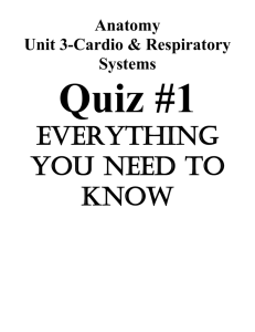 Quiz #1 Everything You Need to Know
