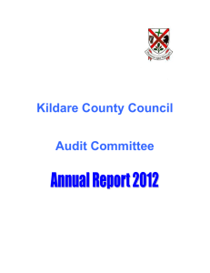 Audit Committee Annual Report 2012